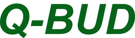 Q-BUD